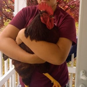 Meet your Posher, Sara